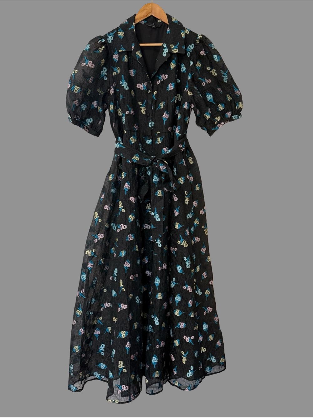 AG Abbey Glass Black Floral Print Puff Sleeve Organza Maxi Dress 2XL ($425)